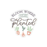 Plant Stickers - Wholesale